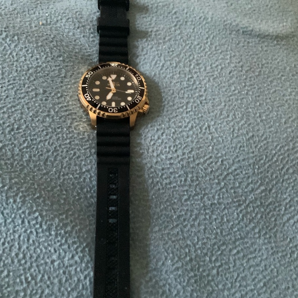 Invicta Pro Diver watch